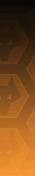 Wolves Season Review 2007-2008 Banner