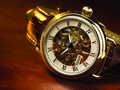 Stauer 1779 Skeleton Watch