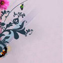 Summer Sale, Click Here