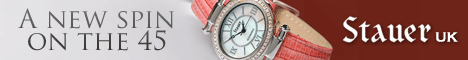 Stainless Steel 45 Diamond Watch