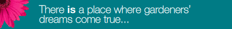 Click here to visit Dobbies the number one online garden centre