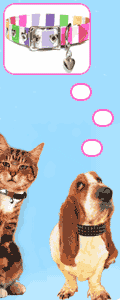 www.puccipetwear.com
