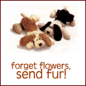 www.bearsbymail.com