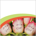 Roses by Design, Click here!