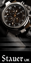 Stauer Stainless Steel Noire Watch