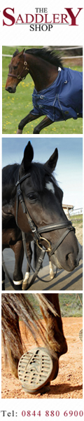 Special Offer Horseware Rambo Duo 2 in 1 Turnout Rug Offer