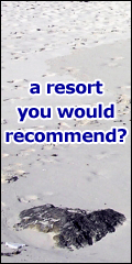 Holiday Watchdog, Click Here!