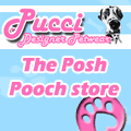 Pucci Petwear, Click here!