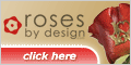 Roses by Design, Click here!