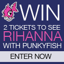 PunkyFish