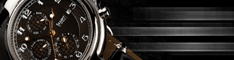 stauer watches