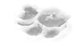 Link to the Snowpaw Store website