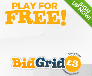 Visit BidGrid