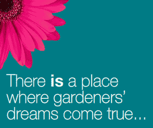 Click here to visit Dobbies