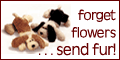 Bears by Mail, Click here!
