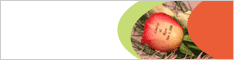 Roses by Design, Click here!
