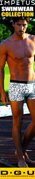impetus mens swimwear